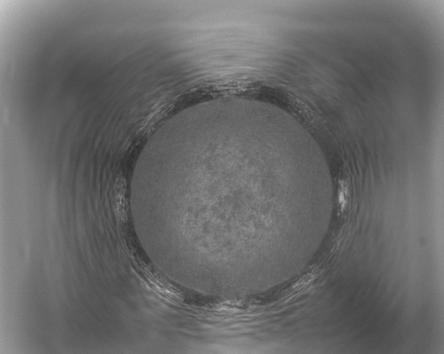 X0000059230867200510171448