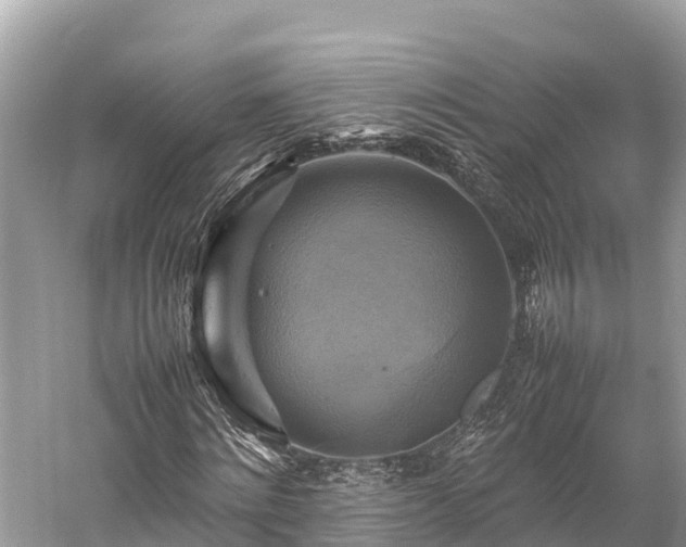 X0000059230868200510171448