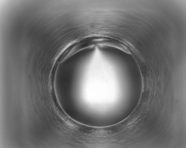 X0000059230885200510171448