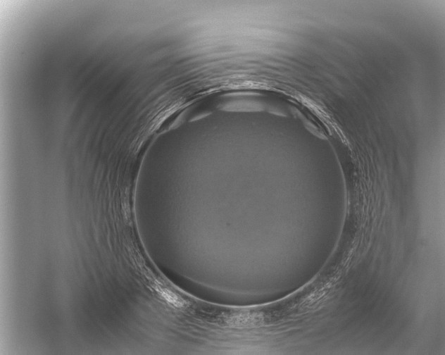 X0000059230889200510171448