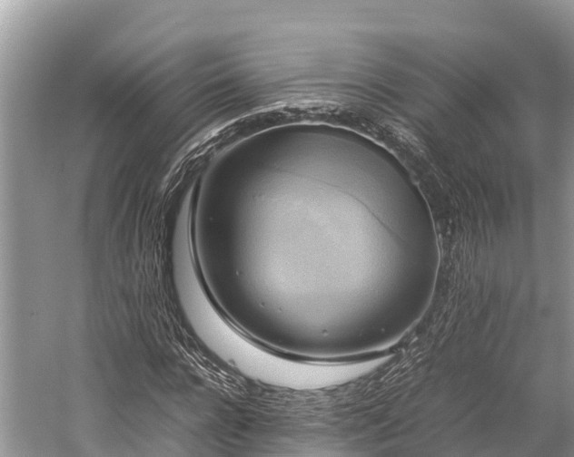 X0000059230920200510171447