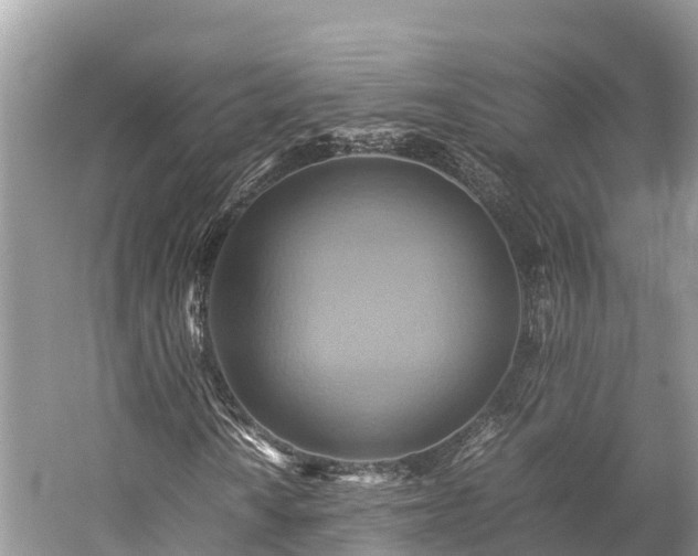 X0000059231010200510171445
