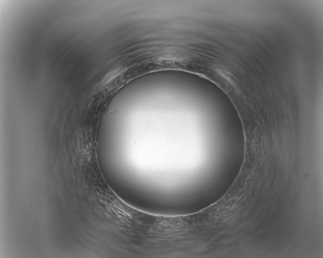 X0000059231015200510171445