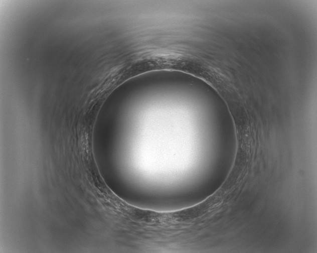 X0000059231061200510171445