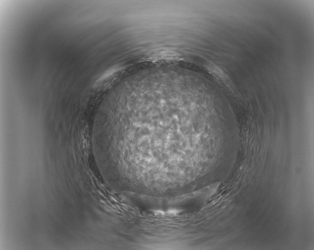 X0000059231063200510171445