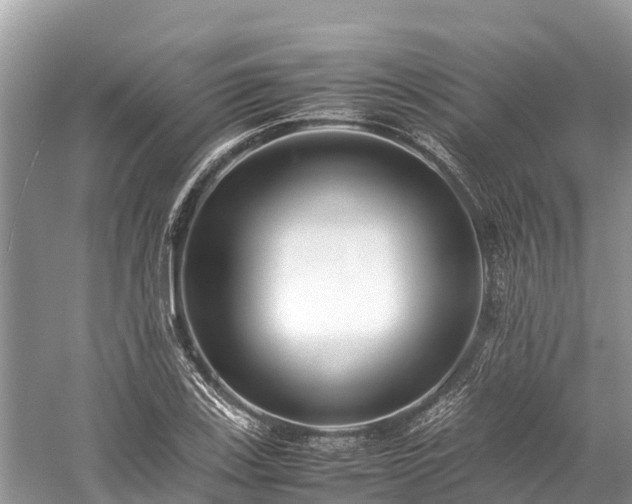 X0000059231123200510171443
