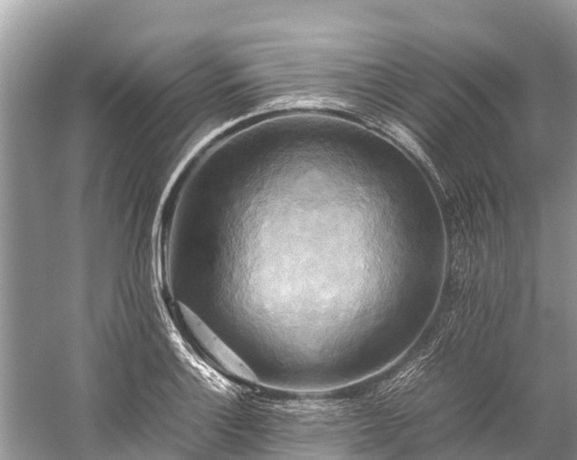 X0000059231132200510171444