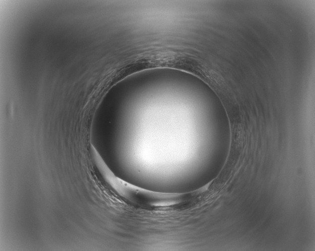 X0000059231153200510171443
