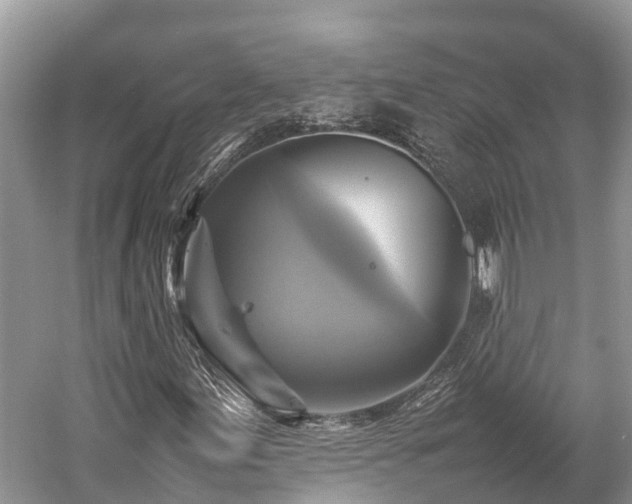 X0000059231155200510171443