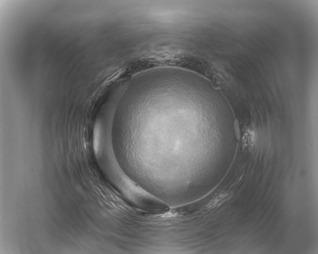 X0000059231156200510171443