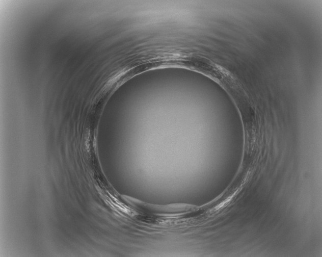 X0000059231161200510171443