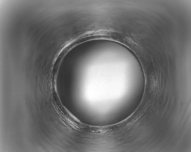 X0000059231166200510171443