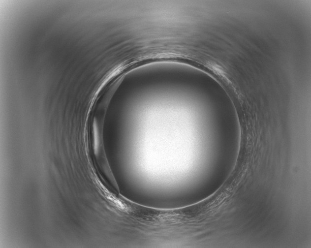 X0000059231181200510171443