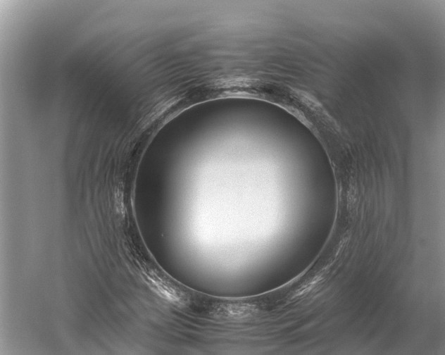 X0000059231209200510171442