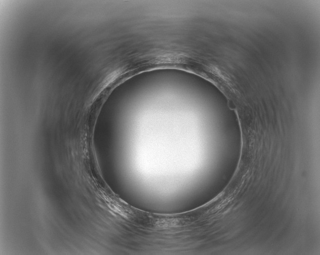 X0000059231211200510171442