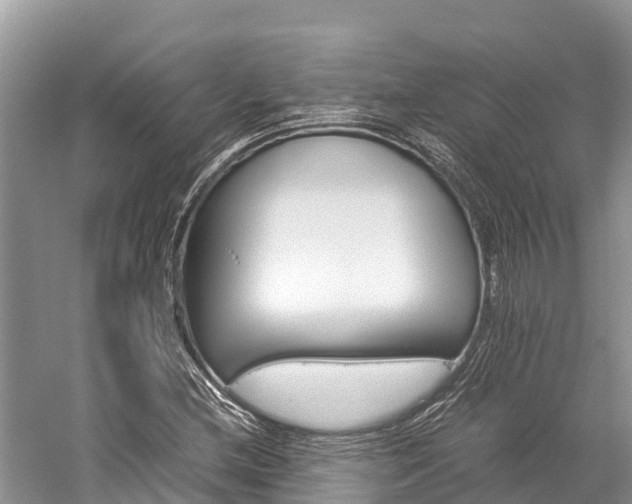 X0000059231212200510171442