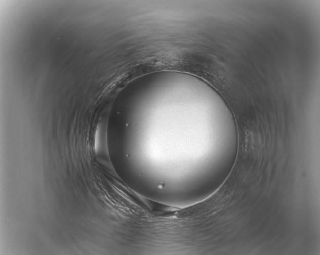 X0000059231250200510171441