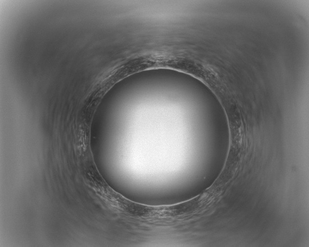 X0000059231253200510171441