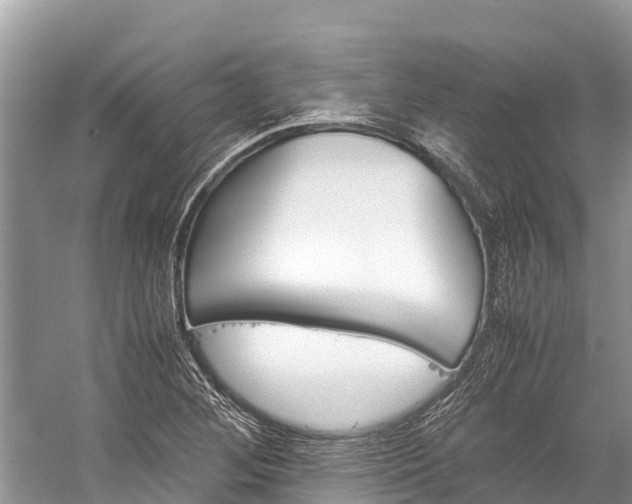 X0000059231268200510171441