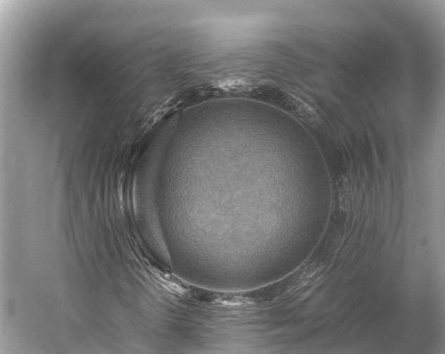 X0000059231298200510171440