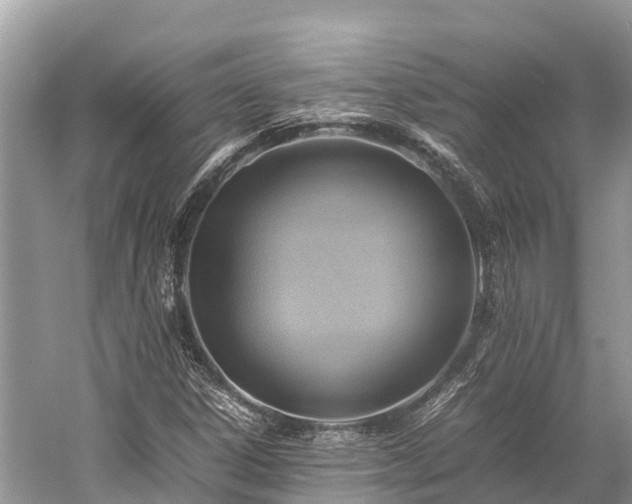 X0000059231306200510171440
