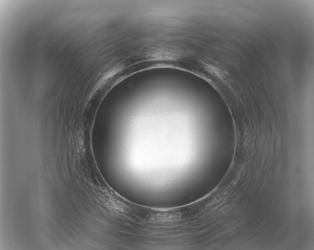 X0000059231307200510171440