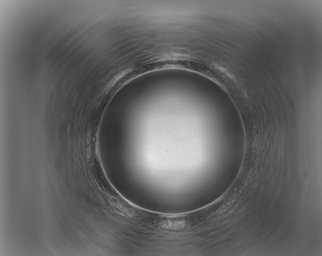 X0000059231313200510171440