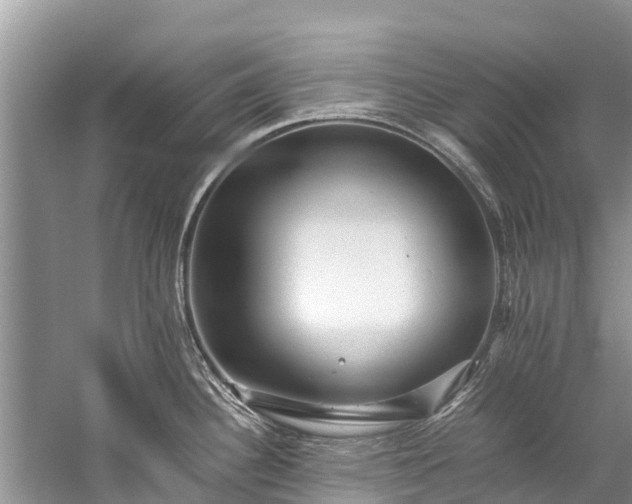 X0000059231340200510171441