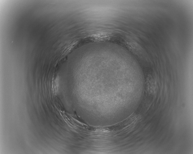 X0000059231346200510171440