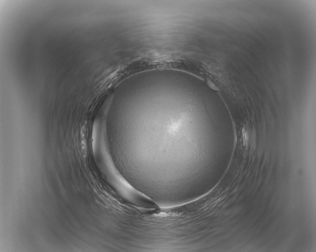 X0000059231348200510171440