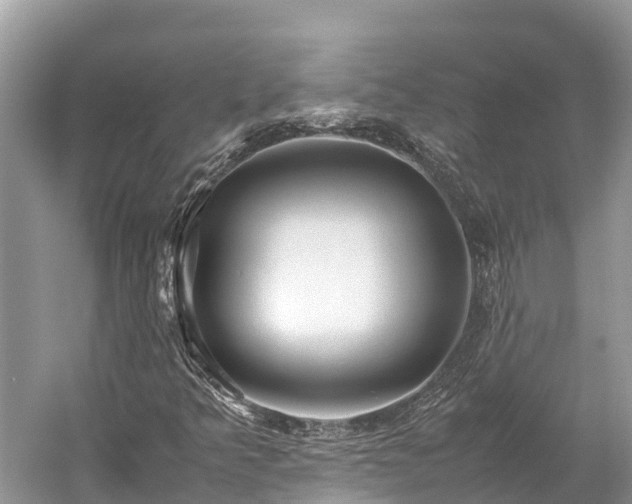 X0000059231349200510171440