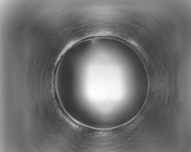 X0000059231374200510171439