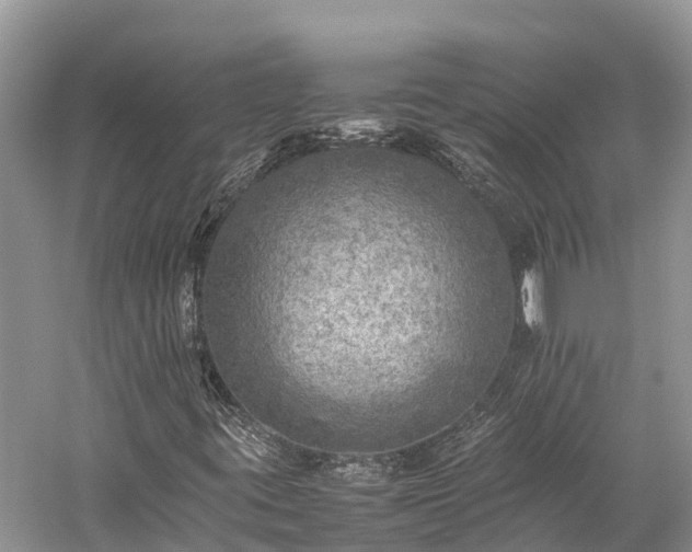 X0000059231395200510171438