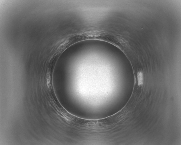 X0000059231444200510171438