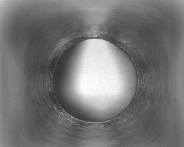 X0000059231446200510171438