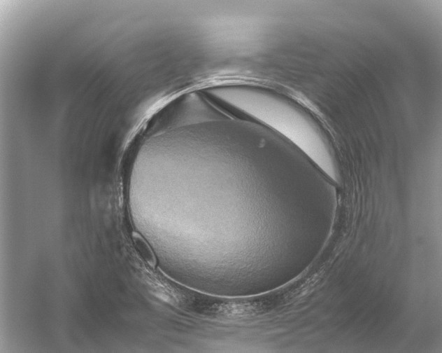 X0000059231461200510171437