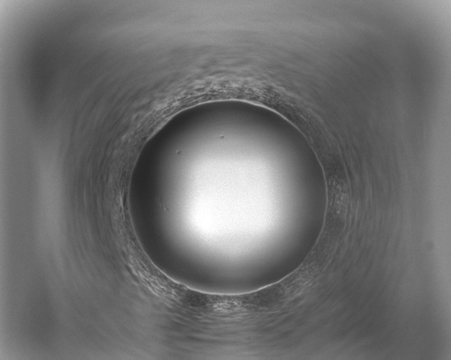 X0000059231489200510171436