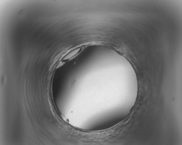 X0000059230001200510211548