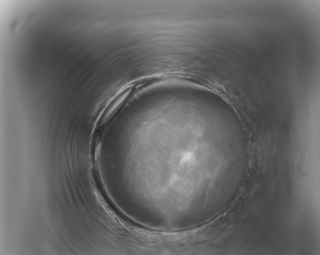 X0000059230002200510211548