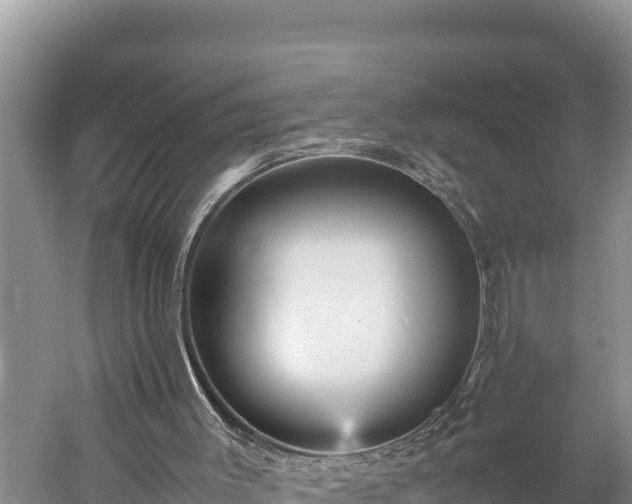 X0000059230003200510211548