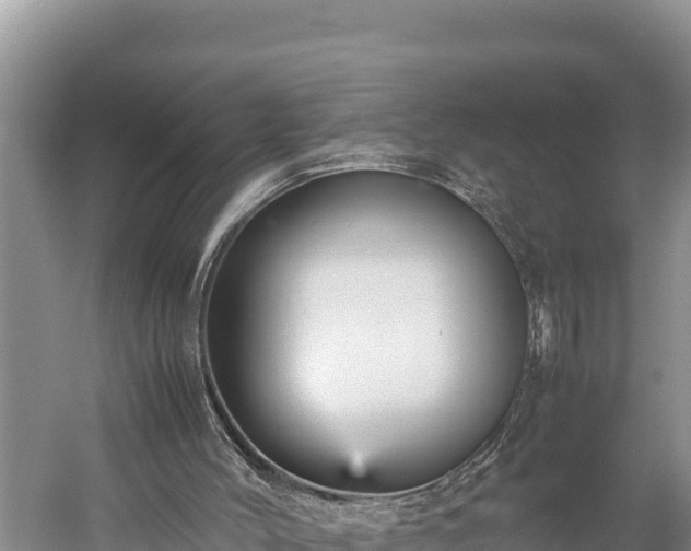 X0000059230004200510211548