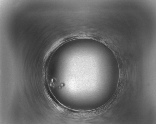 X0000059230005200510211548