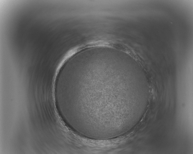 X0000059230006200510211548