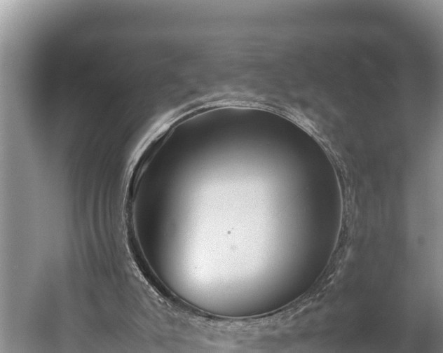 X0000059230007200510211548