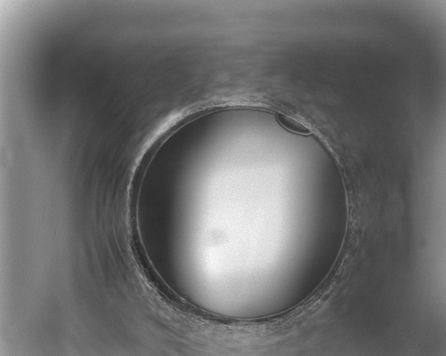 X0000059230008200510211548