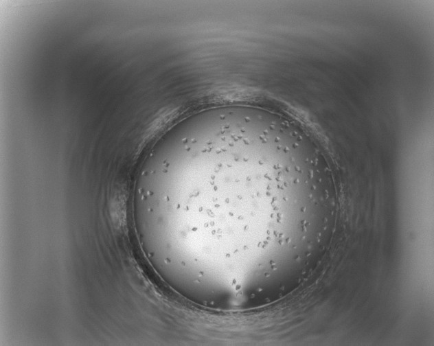 X0000059230010200510211548