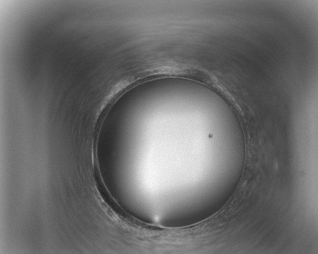 X0000059230011200510211548