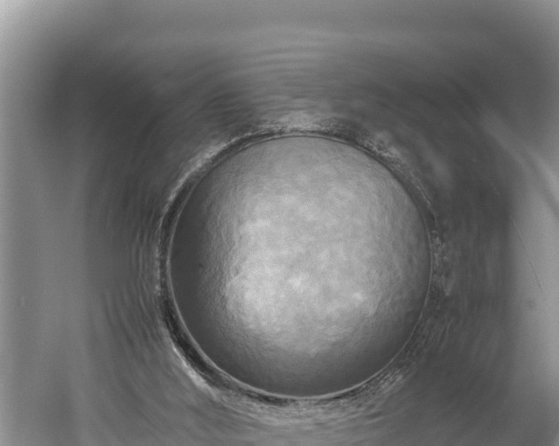 X0000059230012200510211548