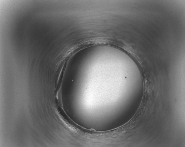 X0000059230013200510211548