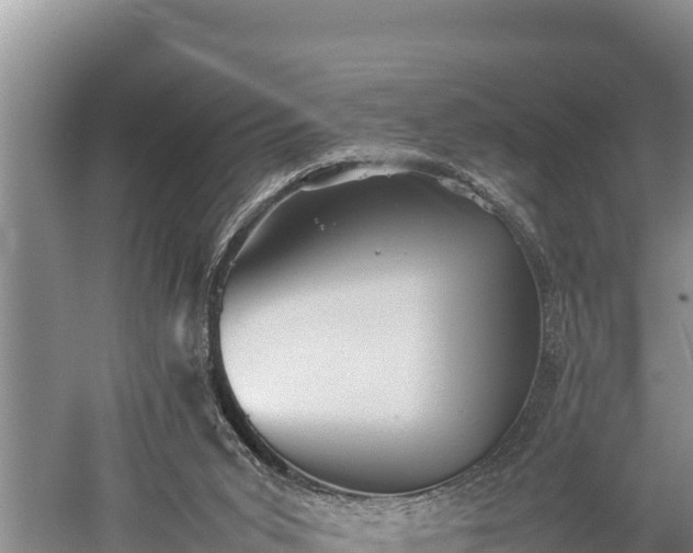 X0000059230015200510211548